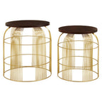 Set of 2 Brown Mango Wood Side Tables with Gold Finish Metal Base | Agra