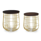 Set of 2 Brown Mango Wood Side Tables with Gold Finish Metal Base | Agra
