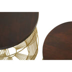 Set of 2 Brown Mango Wood Side Tables with Gold Finish Metal Base | Agra
