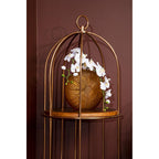 4 Tier Large Cage Design Shelf Unit | Horizon