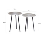 Set of Two Textured Nickel Round Side Tables with Distressed Aluminium Tops and Black Iron Legs | Templar