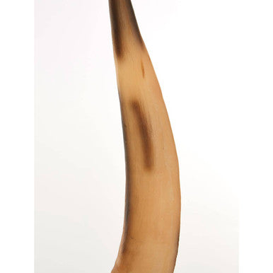 Boho Small Natural Horn Ornament
