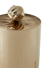 Vertical Textured Metallic Gold Finish Small Trinket Box | Amreli