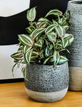 Grey Speckled Small Planter | Caldera
