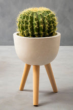 Small White Finish Rounded Planter | Darnell