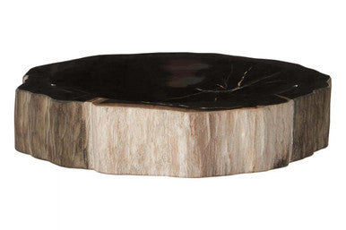 Petrified Wood Bowl | Relic