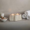 Petrified Wood Double Candle Holder | Relic