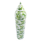 Small Botanic Jar | Selva