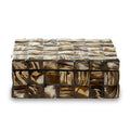 Small Natural Shell Detail Box | Branna