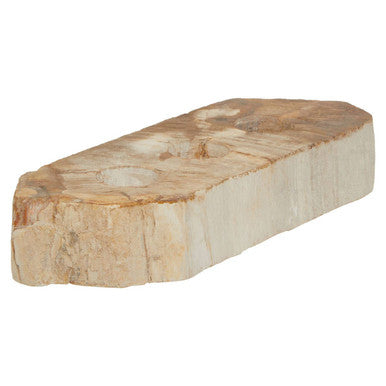 Petrified Wood 3 Tealight Holder | Relic