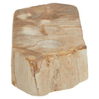 Petrified Wood 3 Tealight Holder | Relic