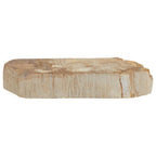 Petrified Wood 3 Tealight Holder | Relic