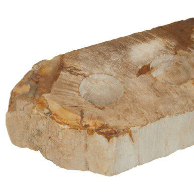 Petrified Wood 3 Tealight Holder | Relic
