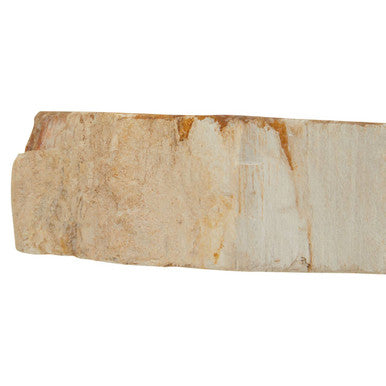 Petrified Wood 3 Tealight Holder | Relic