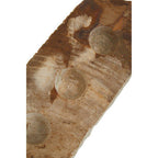 Petrified Wood 3 Tealight Holder | Relic