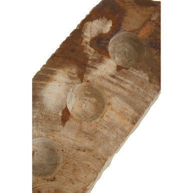 Petrified Wood 3 Tealight Holder | Relic