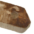 Petrified Wood 3 Tealight Holder | Relic