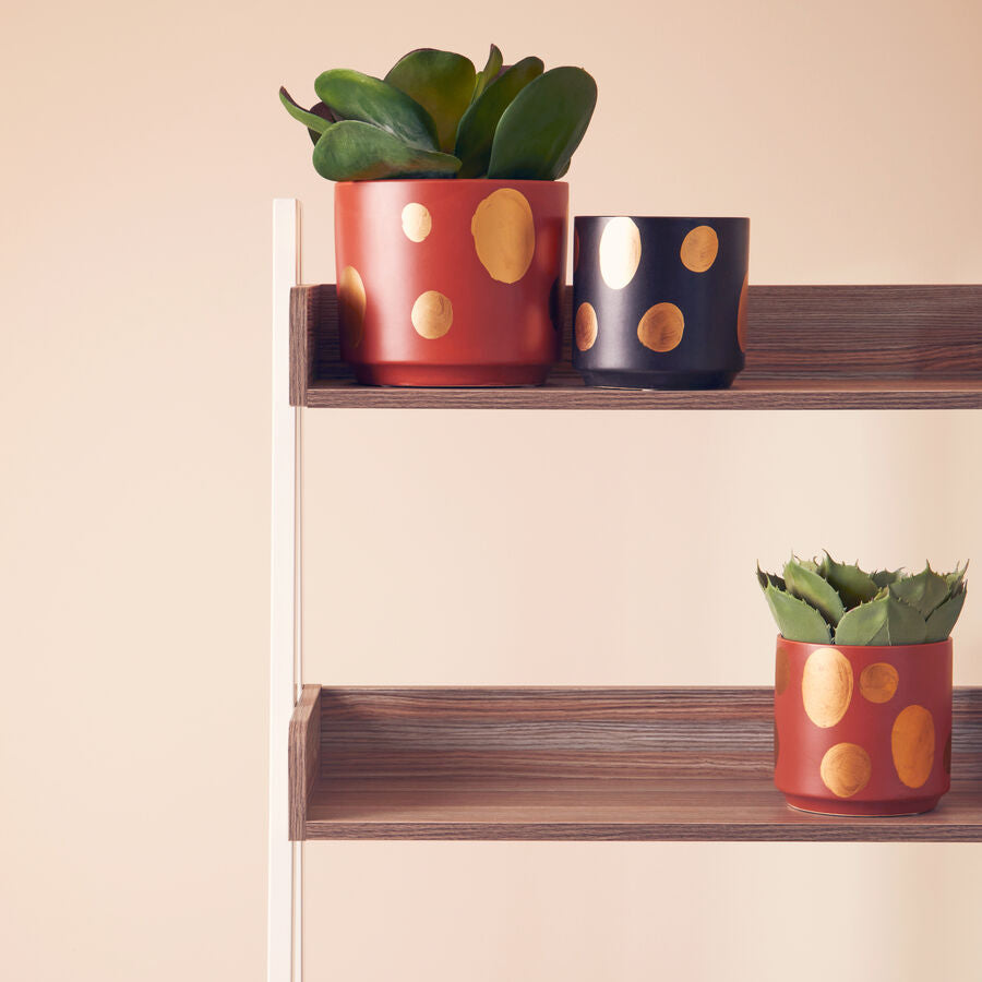 Small Terracotta Gold Spotted Planter | Yuri