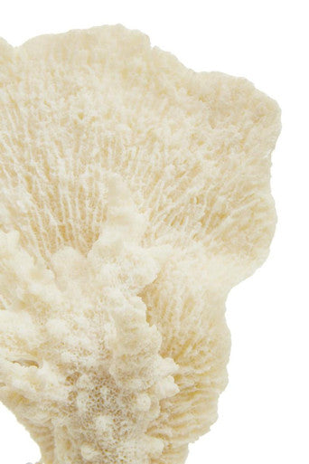 Small White Coral Decor | Boho