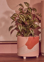 Large Planter | Jada