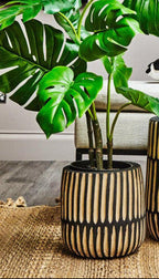 Small Engraved Natural and Black Planter | Arlo