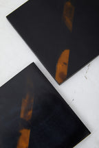 Set of Four Tortoise Shell Coasters | Roma