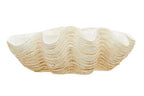 Large Clam Shell Bowl | Byron