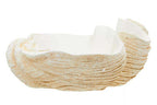 Large Clam Shell Bowl | Byron