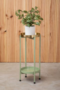 Green and Gold Two Tiered Plant Stand | Sabia