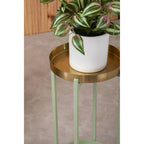 Green and Gold Two Tiered Plant Stand | Sabia