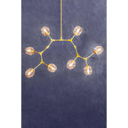 Gold Finish Adjustable 8 Arm Statement Pendant Light | Abira