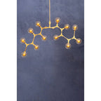 12 Arm  Gold Finish Pendant Light | Abira