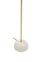 Floor Lamp with Black Shade | Murdoch