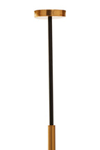 Twelve Bulb Pendant Light | Trieste