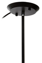 Black Finish 16 Arm Statement Pendant Light | Abira