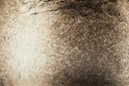 Bosie Lamina Mocha Ombre Rectangular Fur Cushion