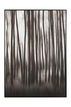 Black and Natural Classic Wall Art | Astratto