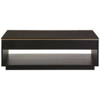 Black Oak Veneer 1-Drawer Coffee Table with Gold Finish Trim and Lower Storage Shelf | Diamond
