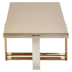 Rectangular Frosted Glass Coffee Table in Gold and Silver Finish Frame | Demas