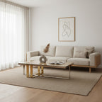 Rectangular Frosted Glass Coffee Table in Gold and Silver Finish Frame | Demas