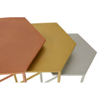Nest of 3 Assorted Hexagonal Nesting Table with Metallic Tops | Rabia