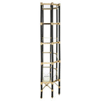 5 Shelf Unit In Champagne Finish and Black Frame | Allessi