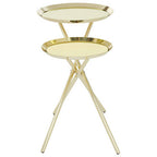 Gold Chrome Finish Frame Side Table with Metallic Plates Top | Oria