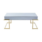Grey Mirrored Top Coffee Table with Gold Finish Stainless Steel Sledge Base, Kaso