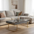 Grey Mirrored Top Coffee Table with Gold Finish Stainless Steel Sledge Base, Kaso