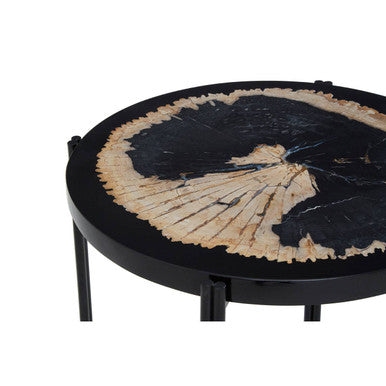 Black Petrified Wood Top Side Table with Cross-Base Legs, Relic