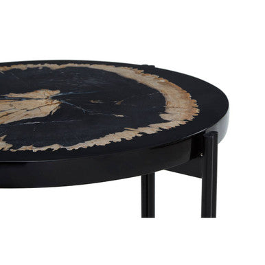 Black Petrified Wood Top Side Table with Cross-Base Legs, Relic