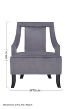 Grey Velvet Chair | Faye