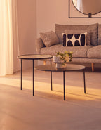 Clear Glass Top and Black Metal Lower Top Coffee Table with Black Iron Frame | Trento