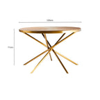 Gold Aged Fir Wood Rustic Top Dining Table with Stainless Steel Tied Base | Jana